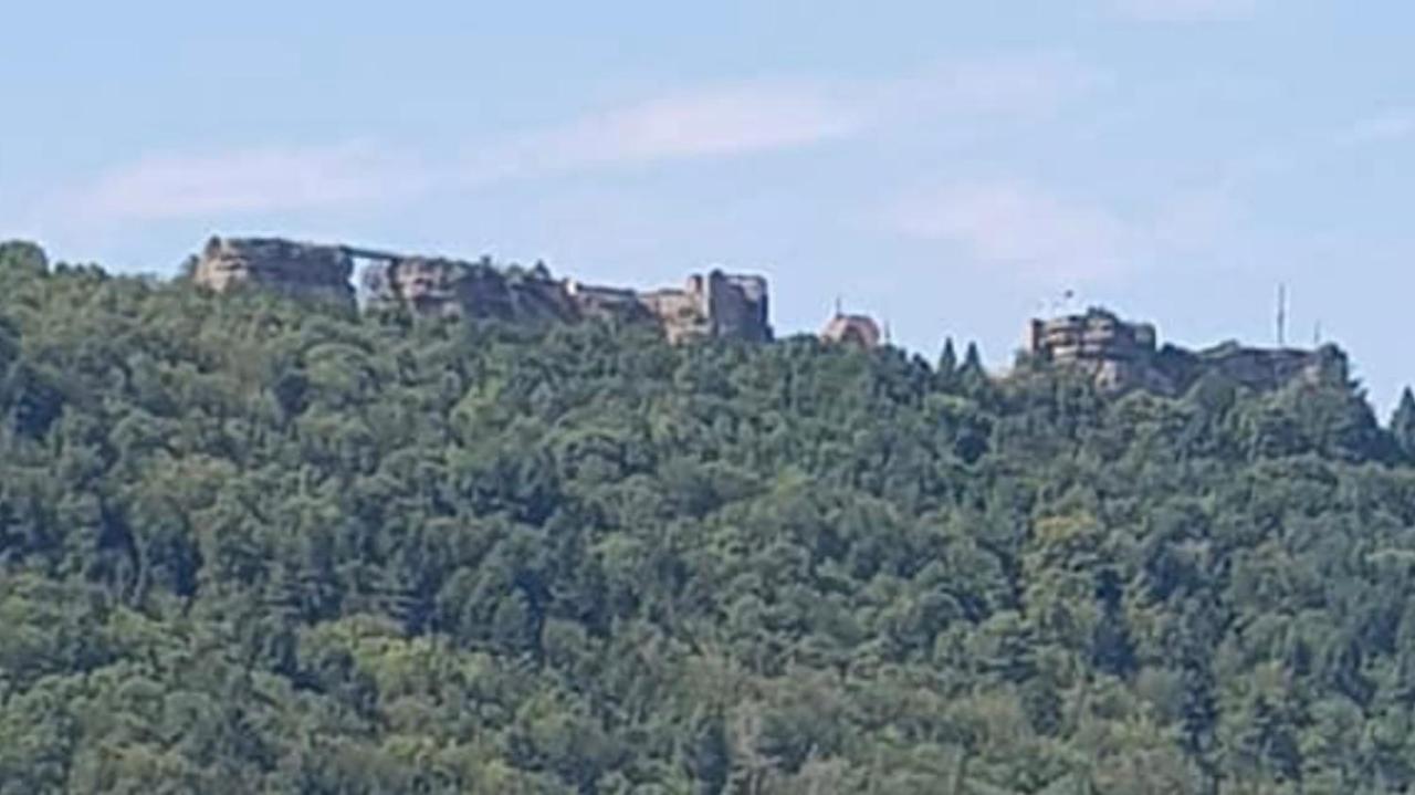 Casasavernoise O Sonho Appart2 Saverne Exterior foto